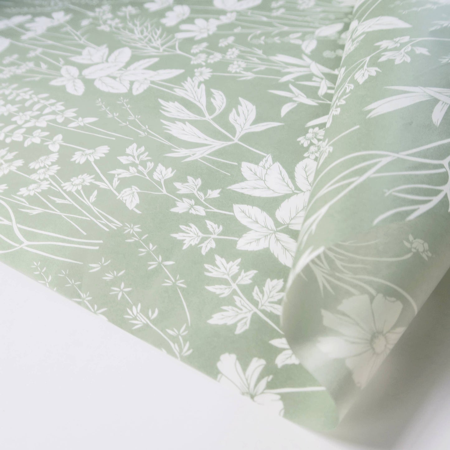 Tissue Paper | Herbs in Sage Pack