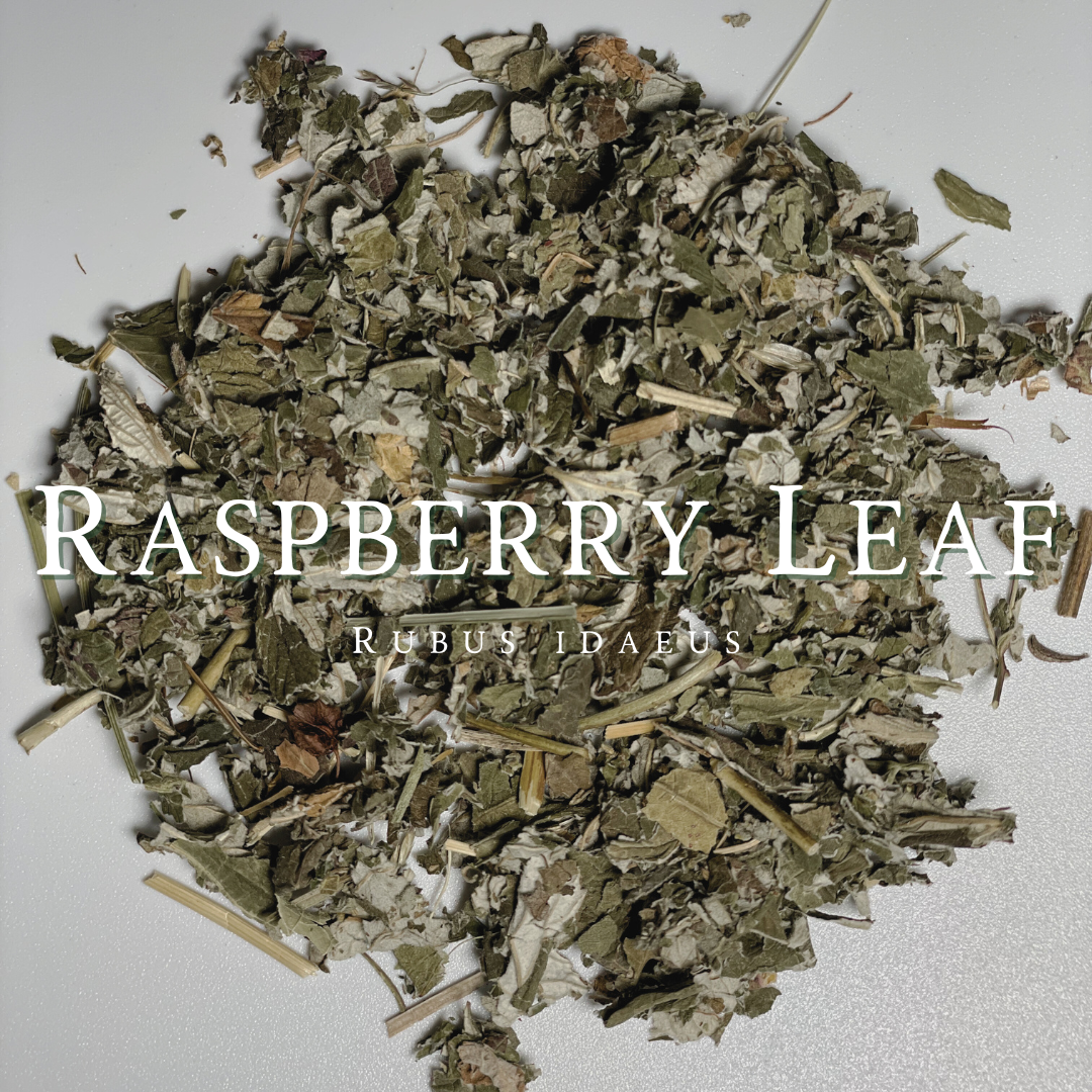 Raspberry Leaf