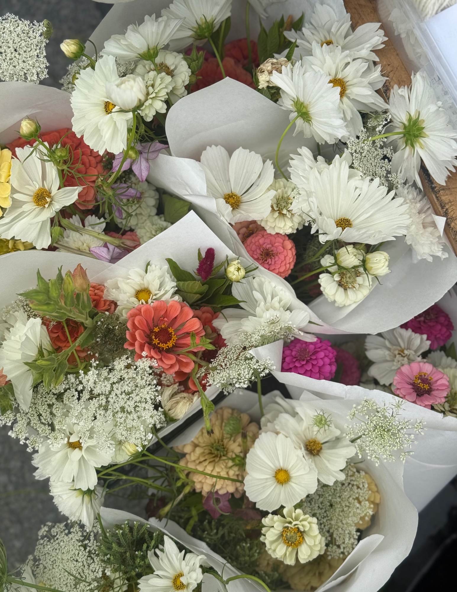WCPA 2026Summer Flower Suite