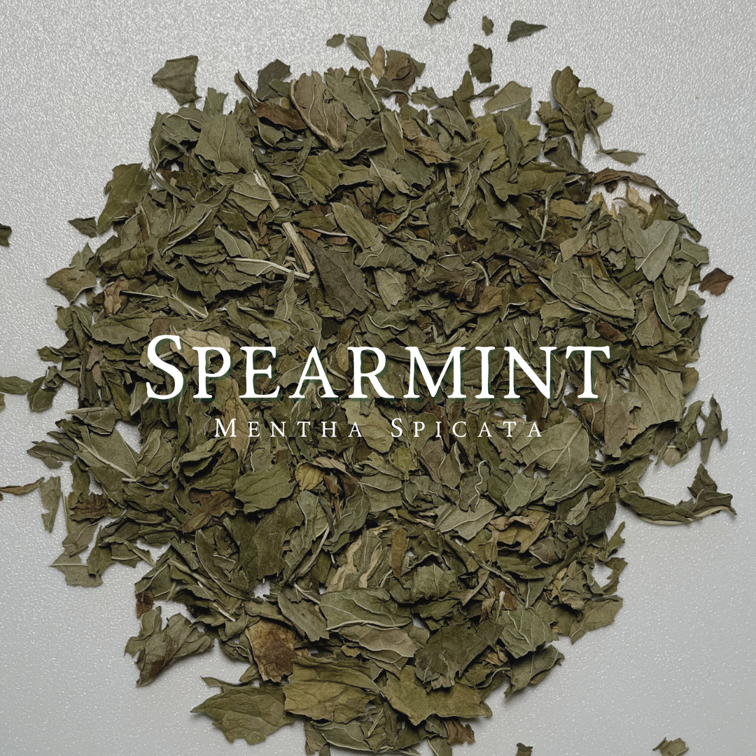 Spearmint