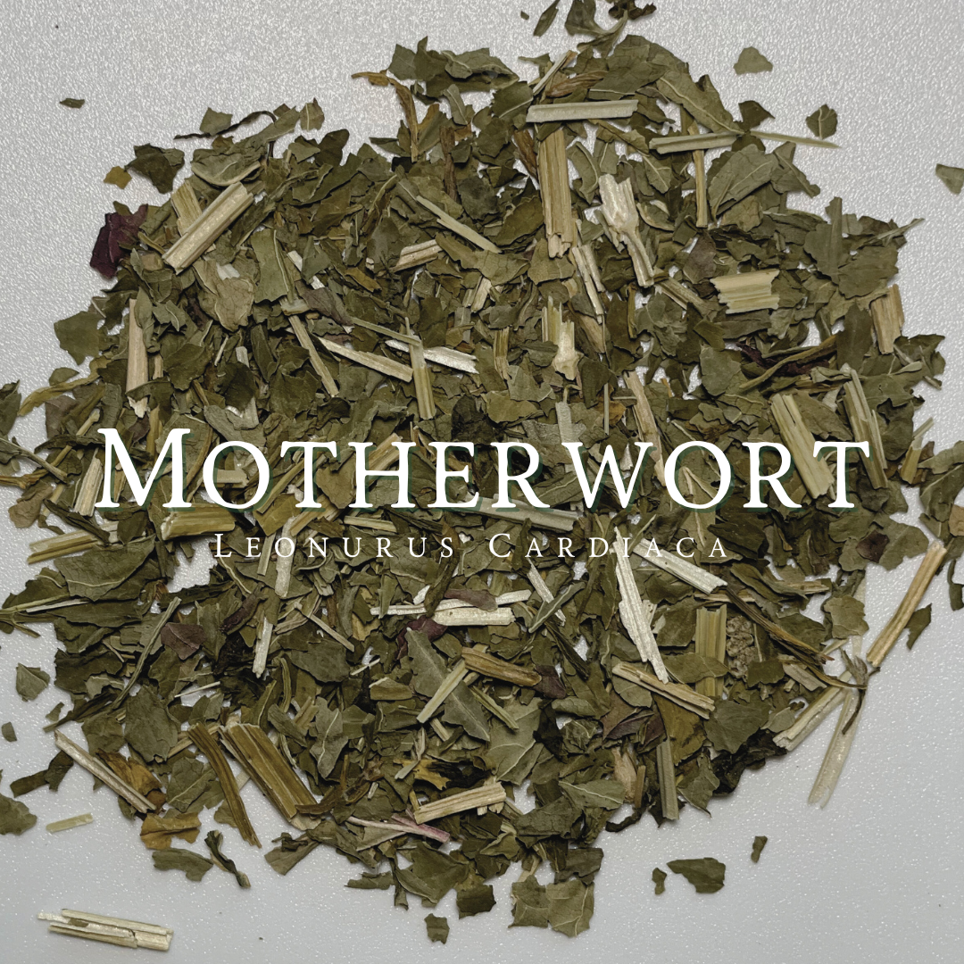 Motherwort