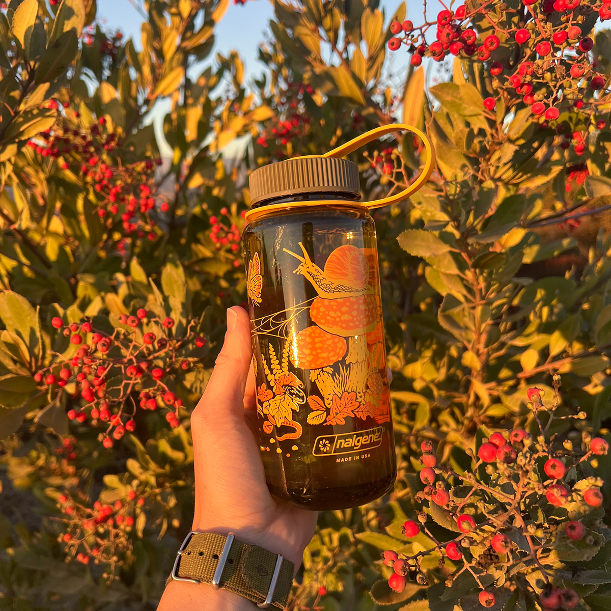 Mustard Beetle - 16oz Toad & Mushrooms, Wide Mouth Nalgene Water Bottle