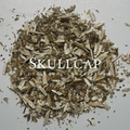 Skullcap
