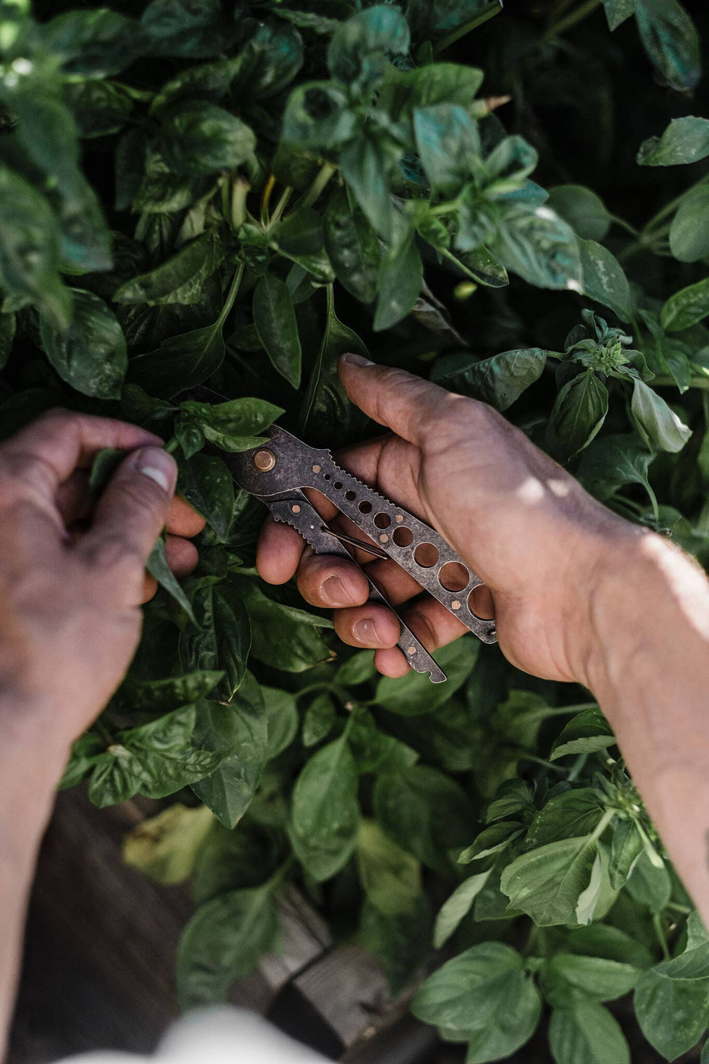 Barebones - Herb Harvest + Strip Tool: Tumbled Black