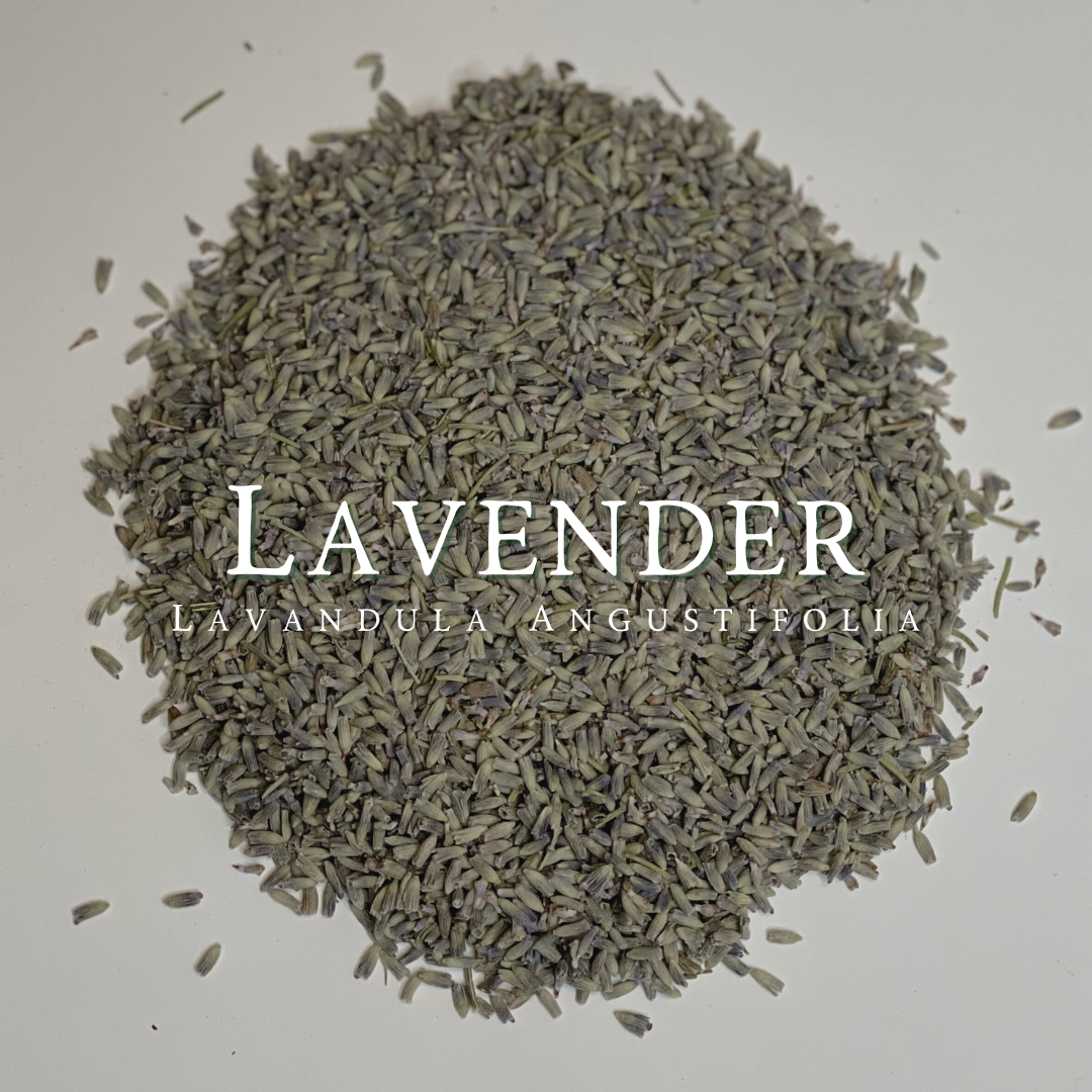 Lavender