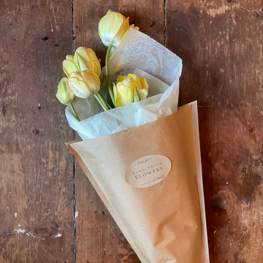 Tulips