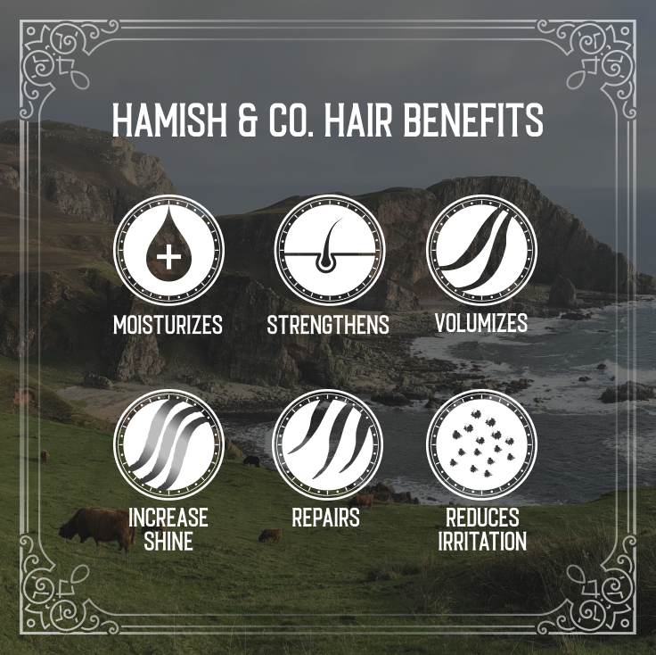 Hamish & Co Aged Sandalwood Conditioner Bar